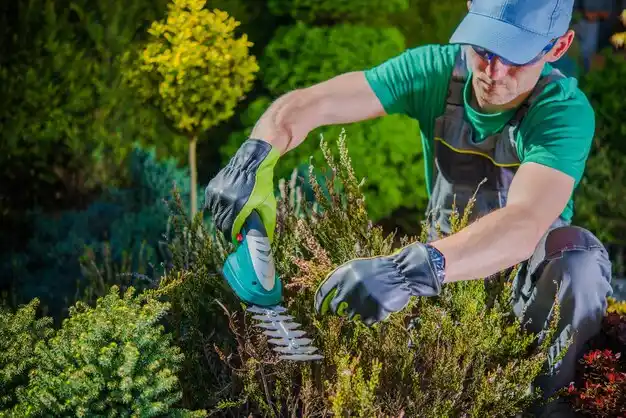 landscaping services Longville